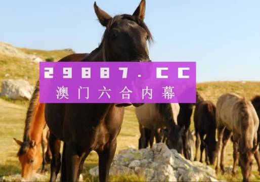 新闻 第28页