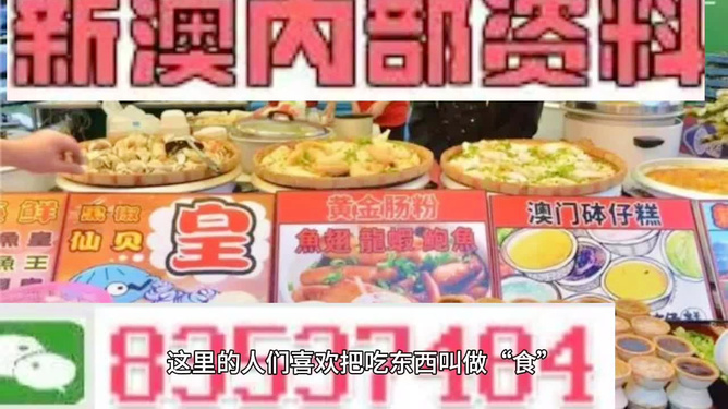 新澳门精准资料大全管家婆料_数据导向计划设计_游戏版36.316