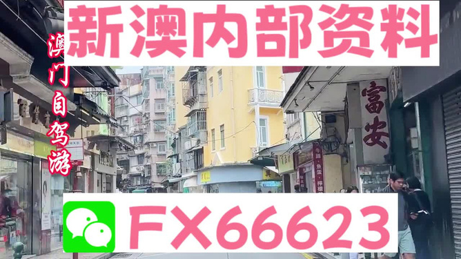 新澳精准资料大全免费_数据说明解析_探索版77.947