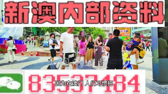 2024新澳正版免费资料的特点_迅捷解答计划落实_钻石版78.733